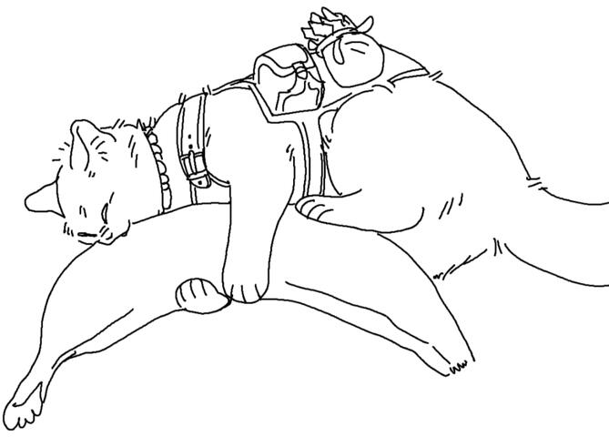 ~$5 Banana Cat Wild Shape