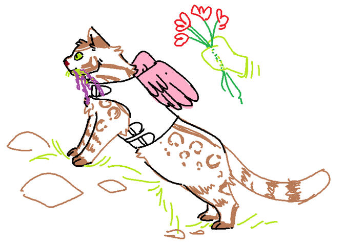 ~$5 Wildshape Druid finding Herbs in Funny Harness